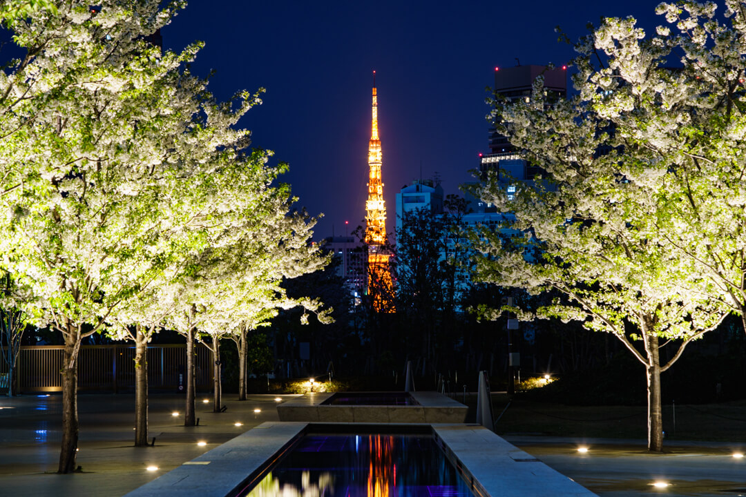 品川シーズンテラスから撮影した東京タワーの写真