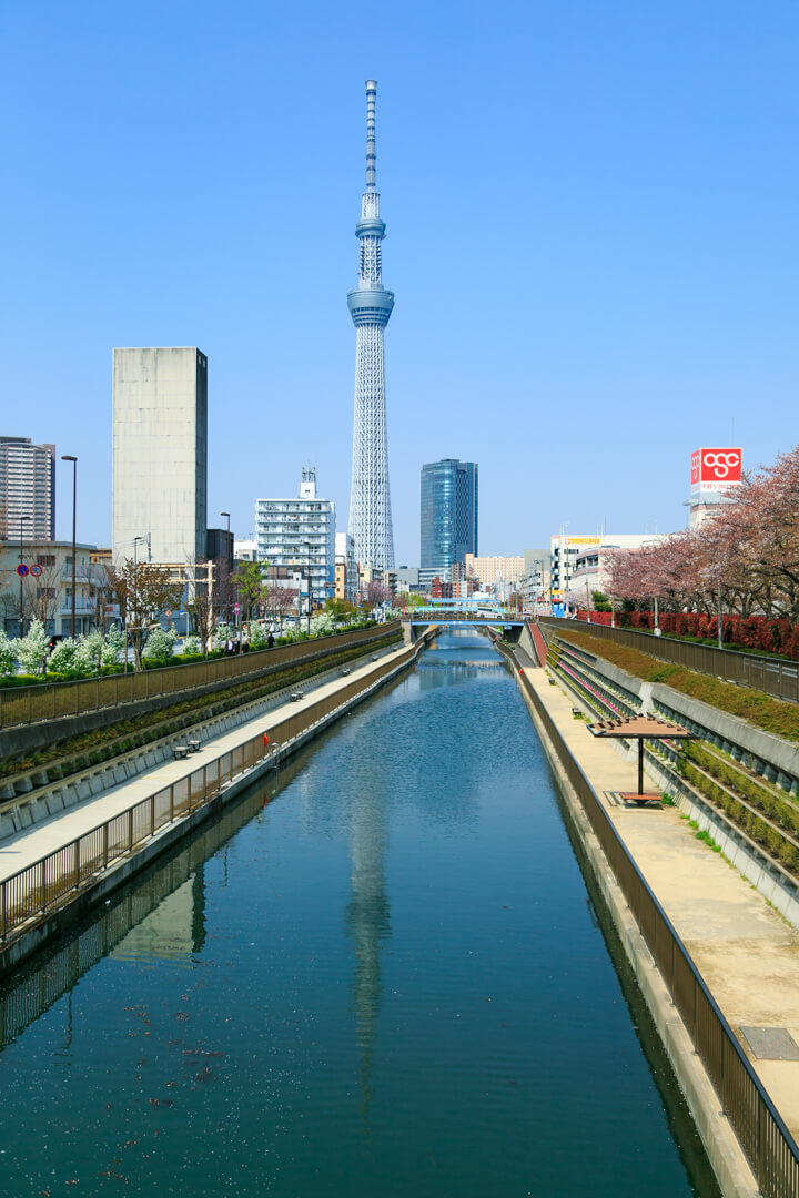 亀福神橋から撮影した東京スカイツリーの写真