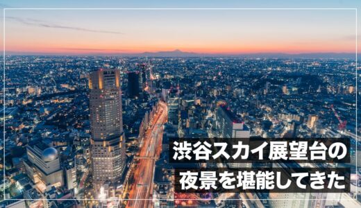 【大満足】渋谷スクランブルスクエア・渋谷スカイ展望台から夜景を撮影してきた！