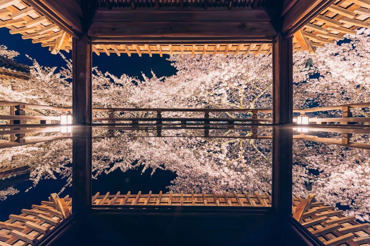 三井寺の観月舞台から撮影した夜桜のリフレクション