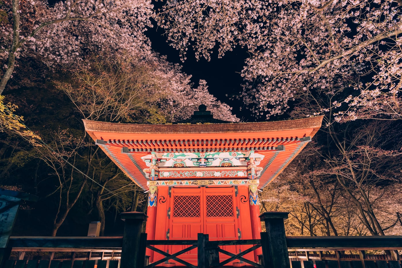 三井寺毘沙門堂と夜桜のライトアップ