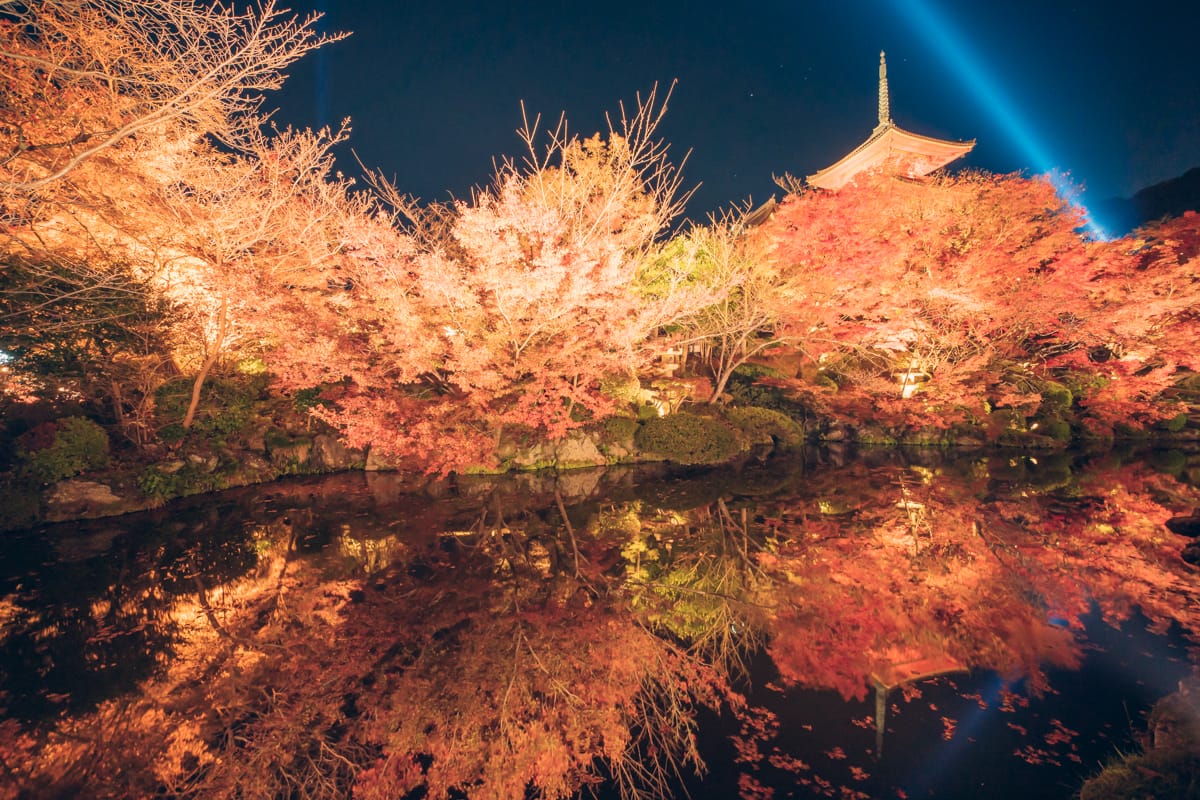ライトアップされたの清水寺で撮影した紅葉